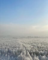 ❄️