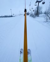 🎿